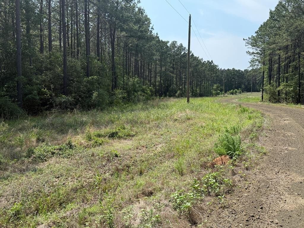 1.88 acres in Texas County - photo 6