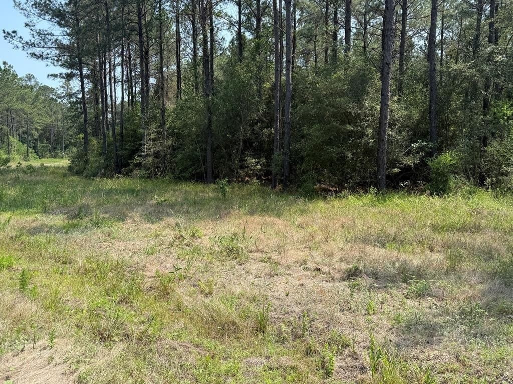 1.88 acres in Texas County - photo 7