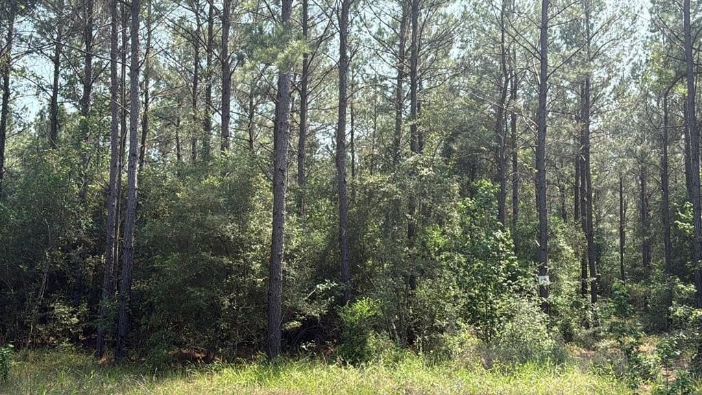 1.88 acres in Texas County - photo 9
