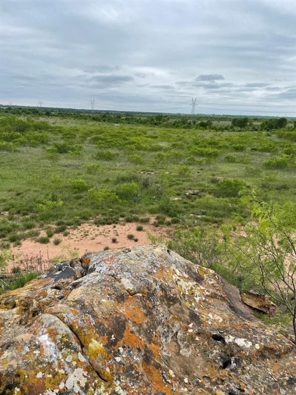 10.01 acres in Clay County gallery image 2