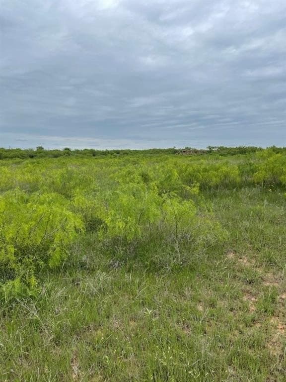 10.01 acres in Clay County