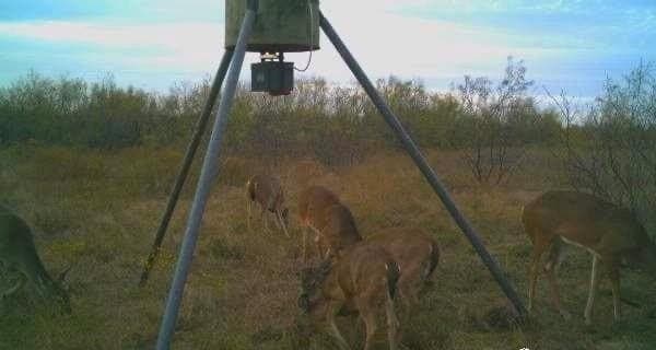 10.01 acres in Clay County gallery image 3