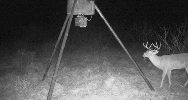 10.01 acres in Clay County gallery image 4