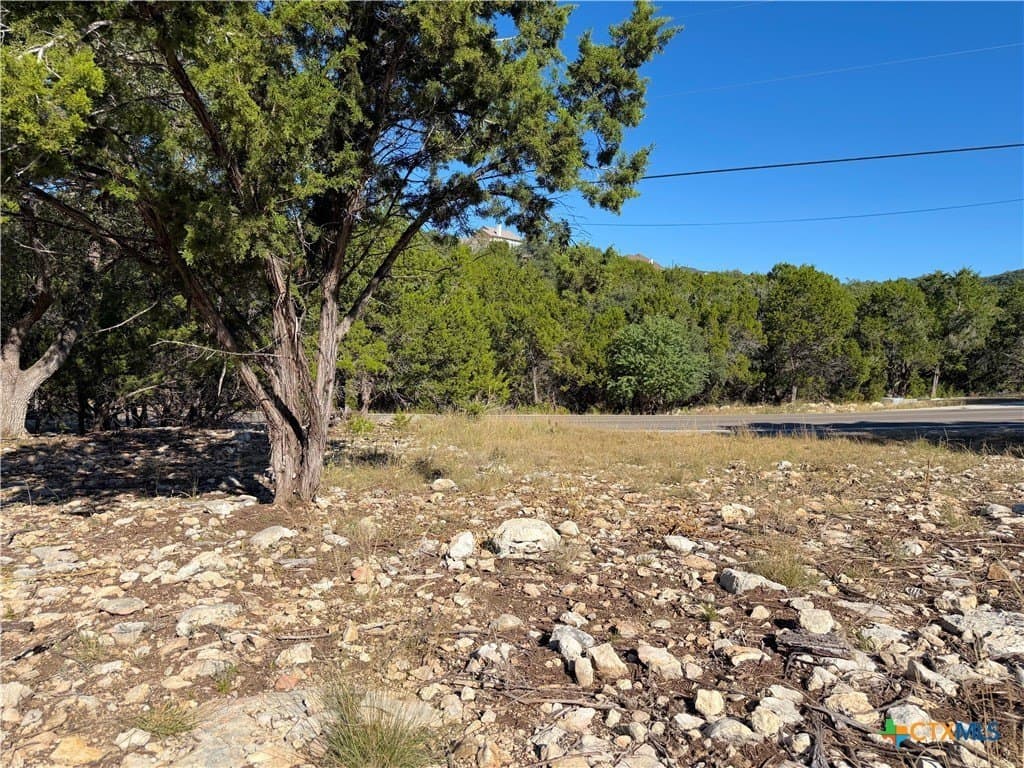 0.82 acres in Comal County - photo 8