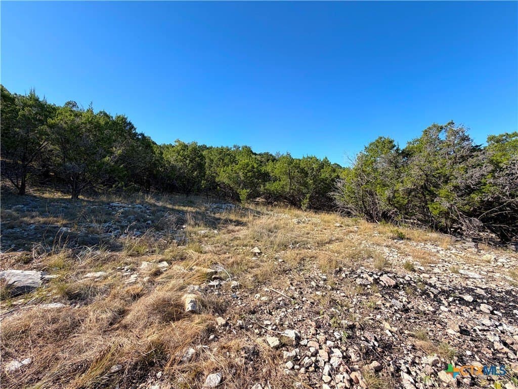 0.82 acres in Comal County - photo 12