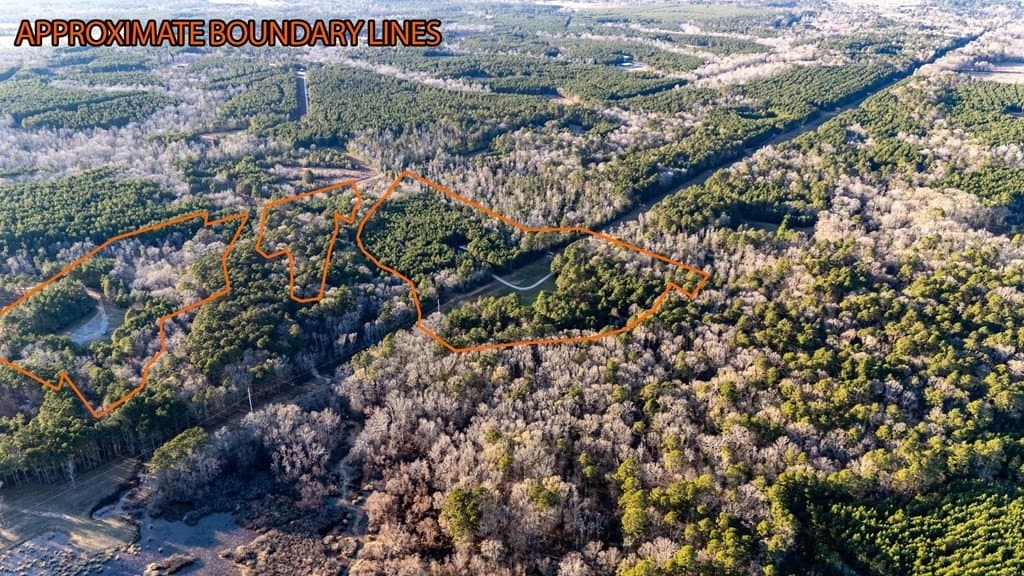 34.4 acres in Texas County gallery image 4