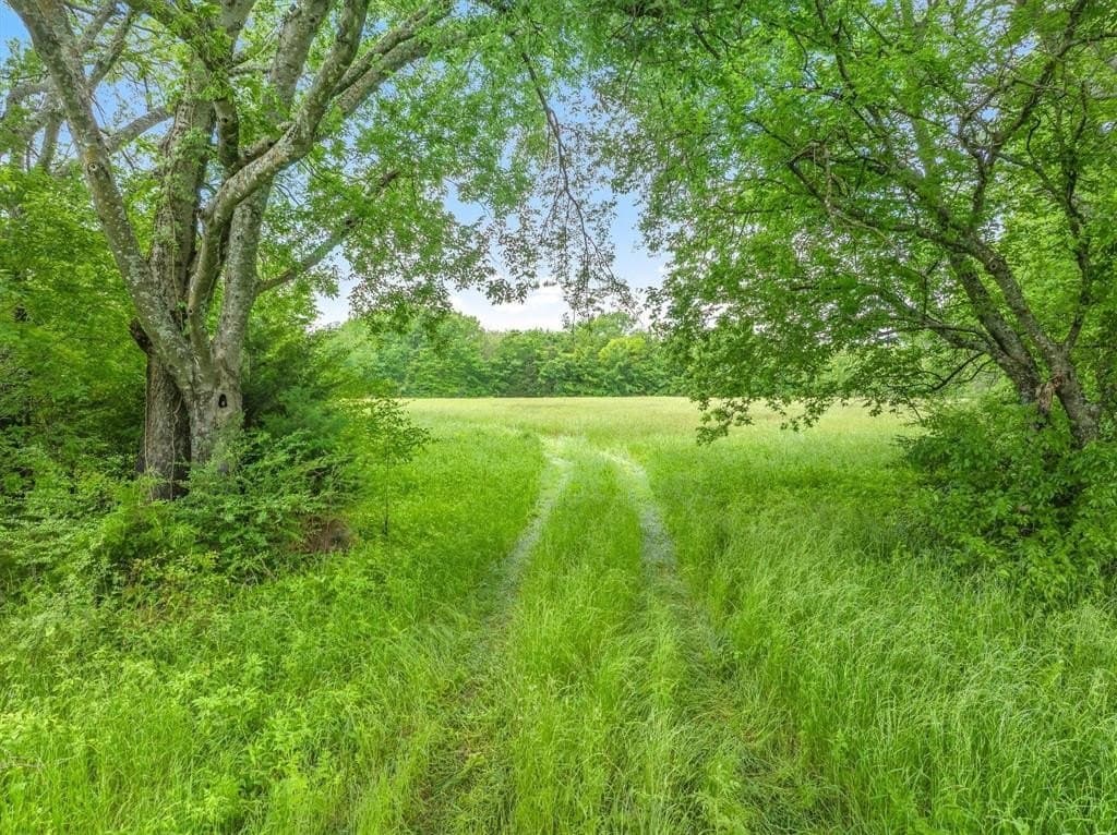 11.75 acres in Van Zandt County gallery image 2