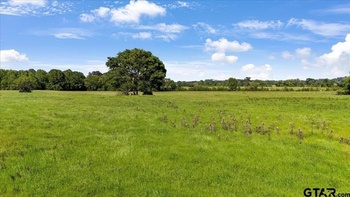 52.43 acres in Cherokee County gallery image 4