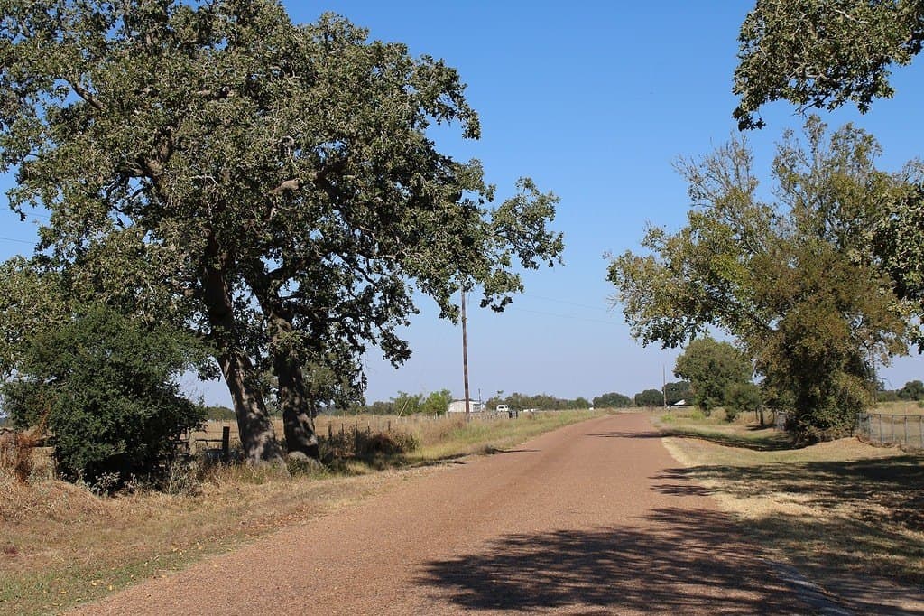 10 acres in Colorado County featured view