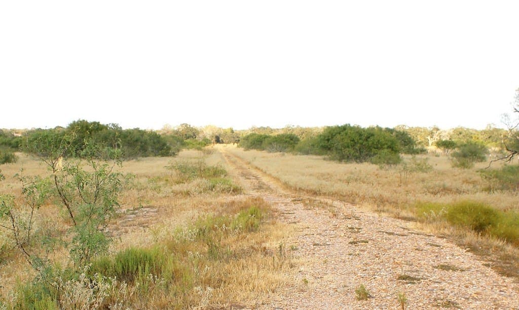 10 acres in Colorado County gallery image 3