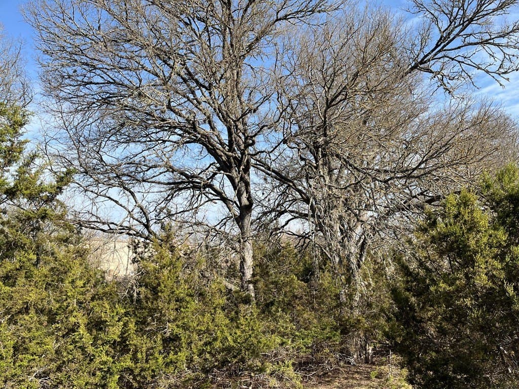 9.4 acres in Kerr County - photo 7