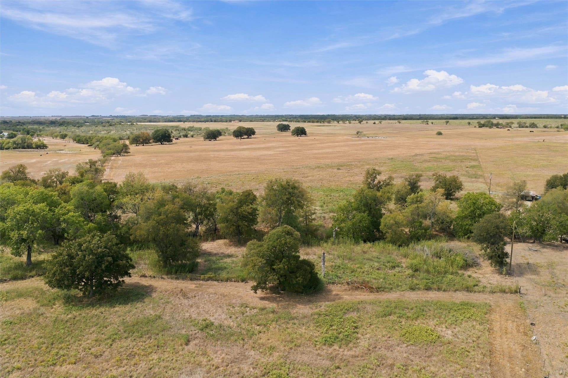 14.63 acres in Falls County - photo 6