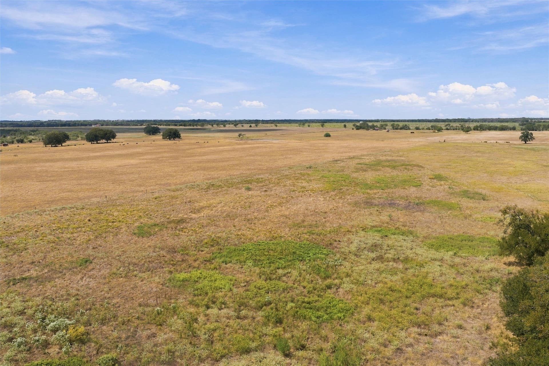 14.63 acres in Falls County - photo 2
