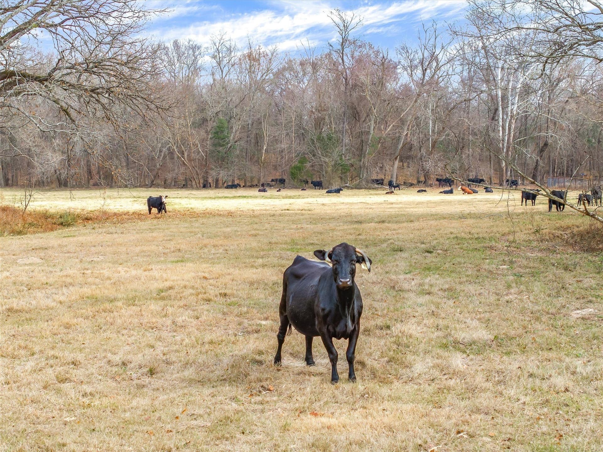 208.23 acres in Wood County - photo 40