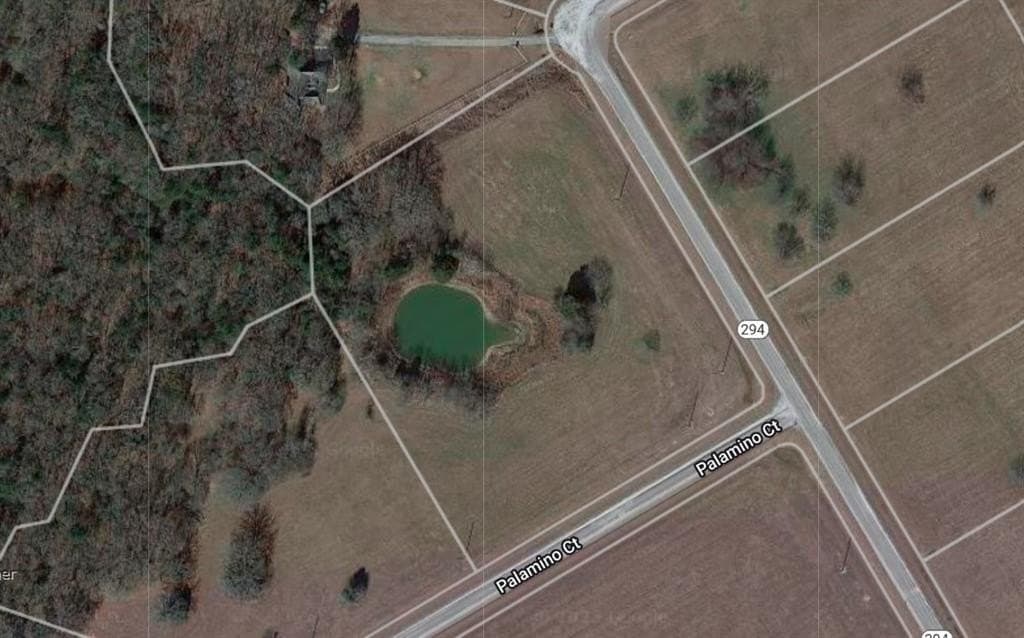 5.01 acres in Navarro County gallery image 2