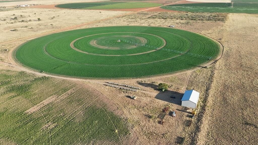 120 acres in Terry County - photo 5