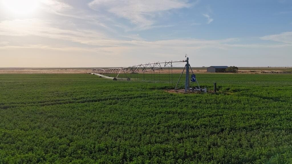 120 acres in Terry County - photo 4