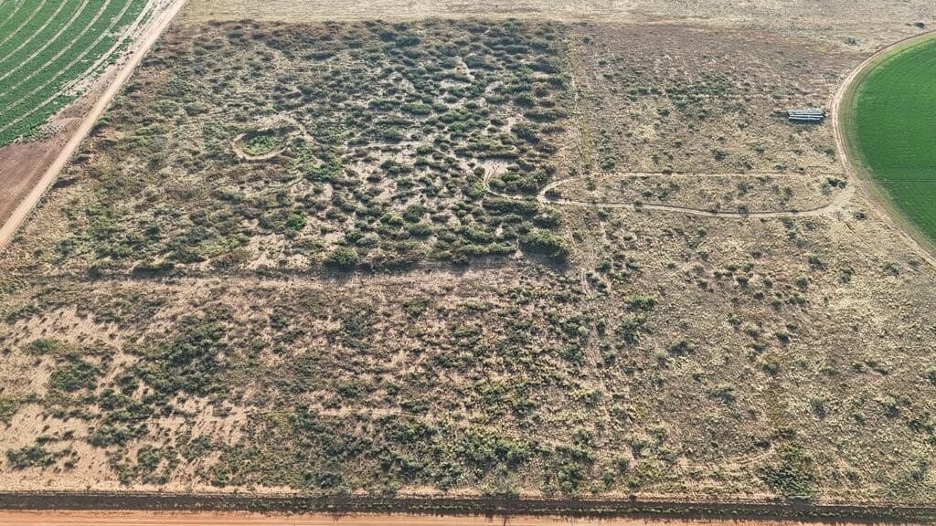 120 acres in Terry County - photo 7