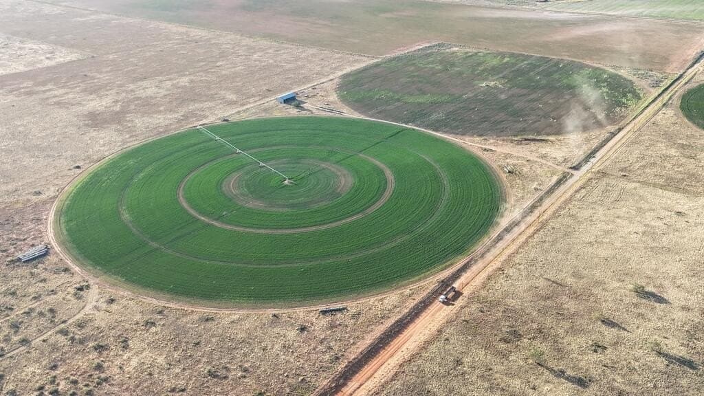 120 acres in Terry County - photo 3