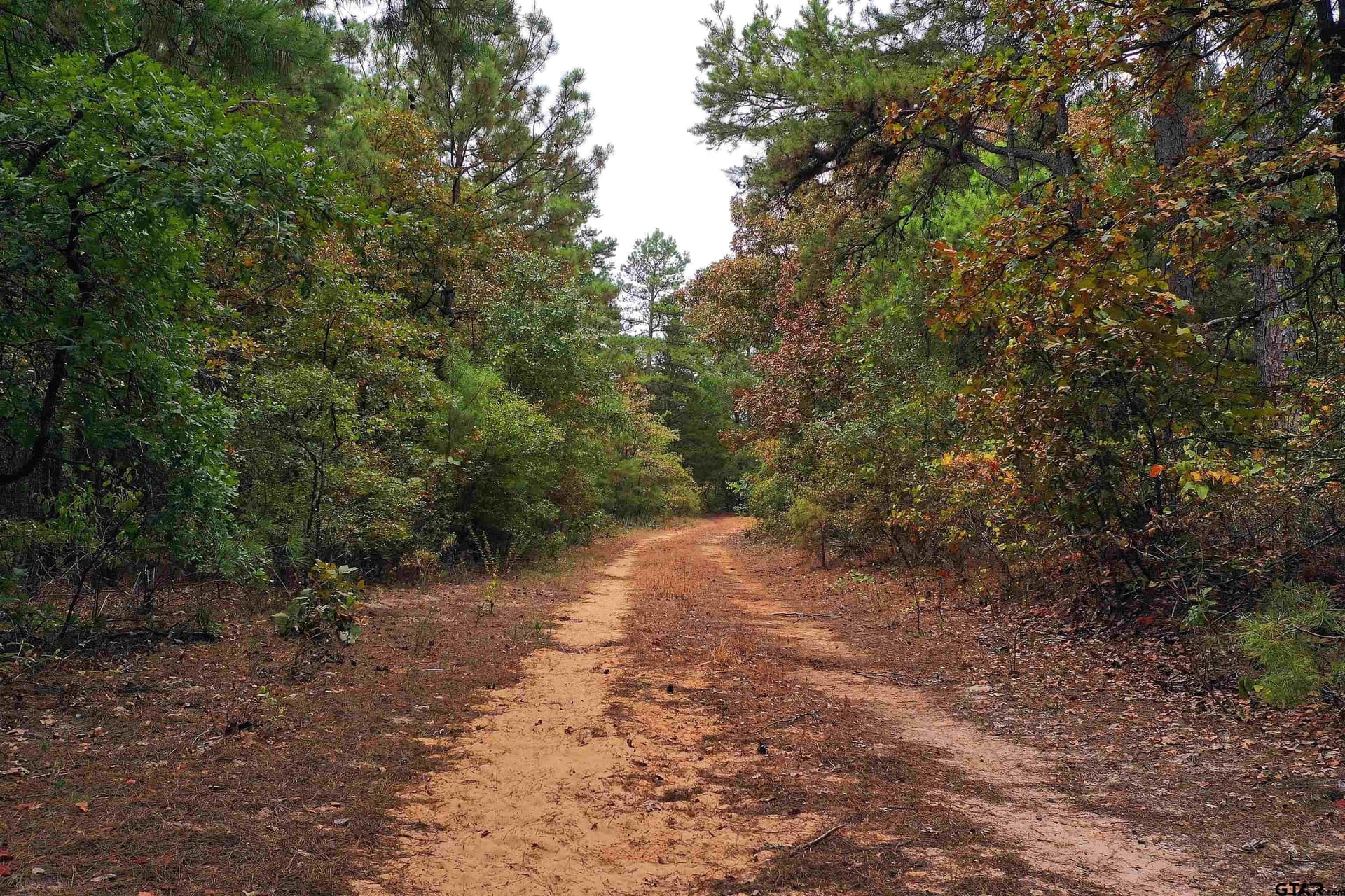 155.8 acres in Smith County - photo 3