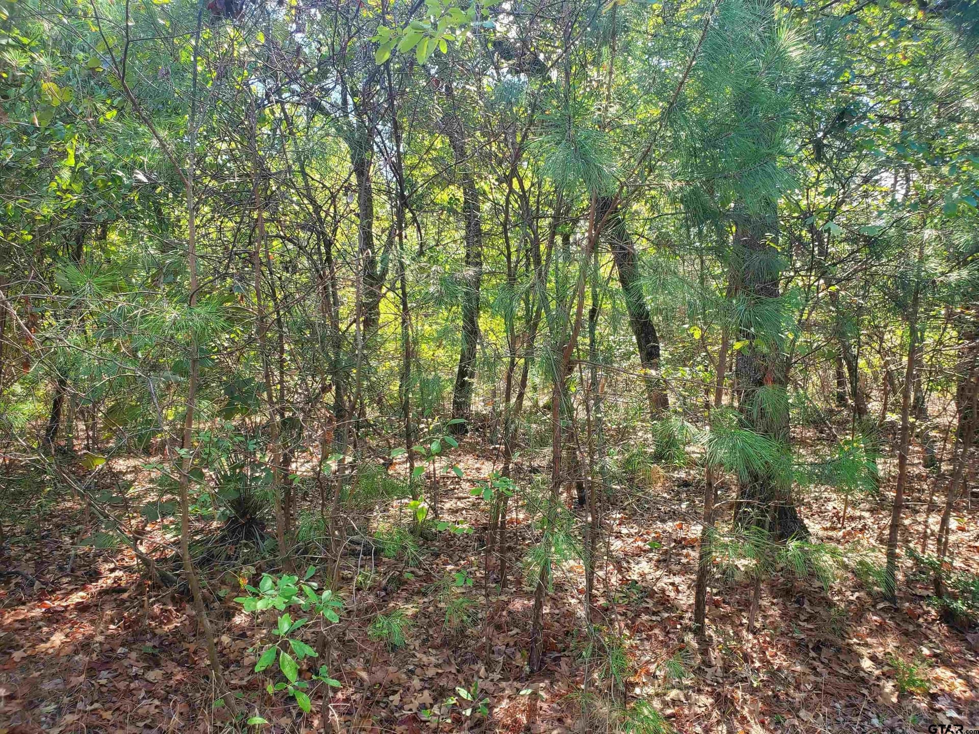 155.8 acres in Smith County - photo 31