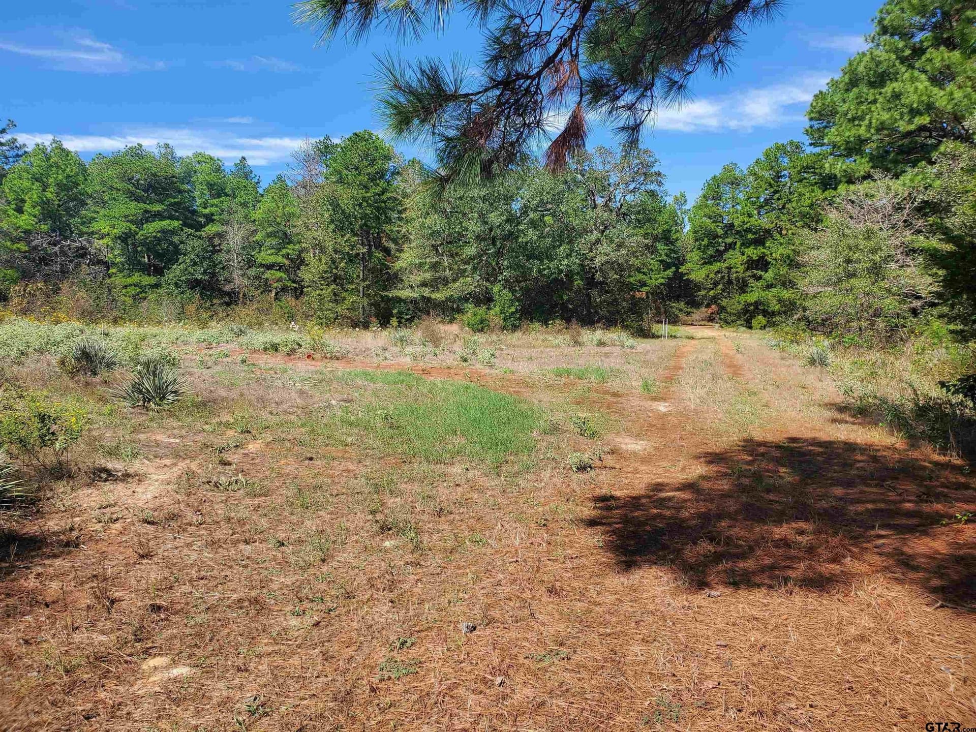 155.8 acres in Smith County - photo 15
