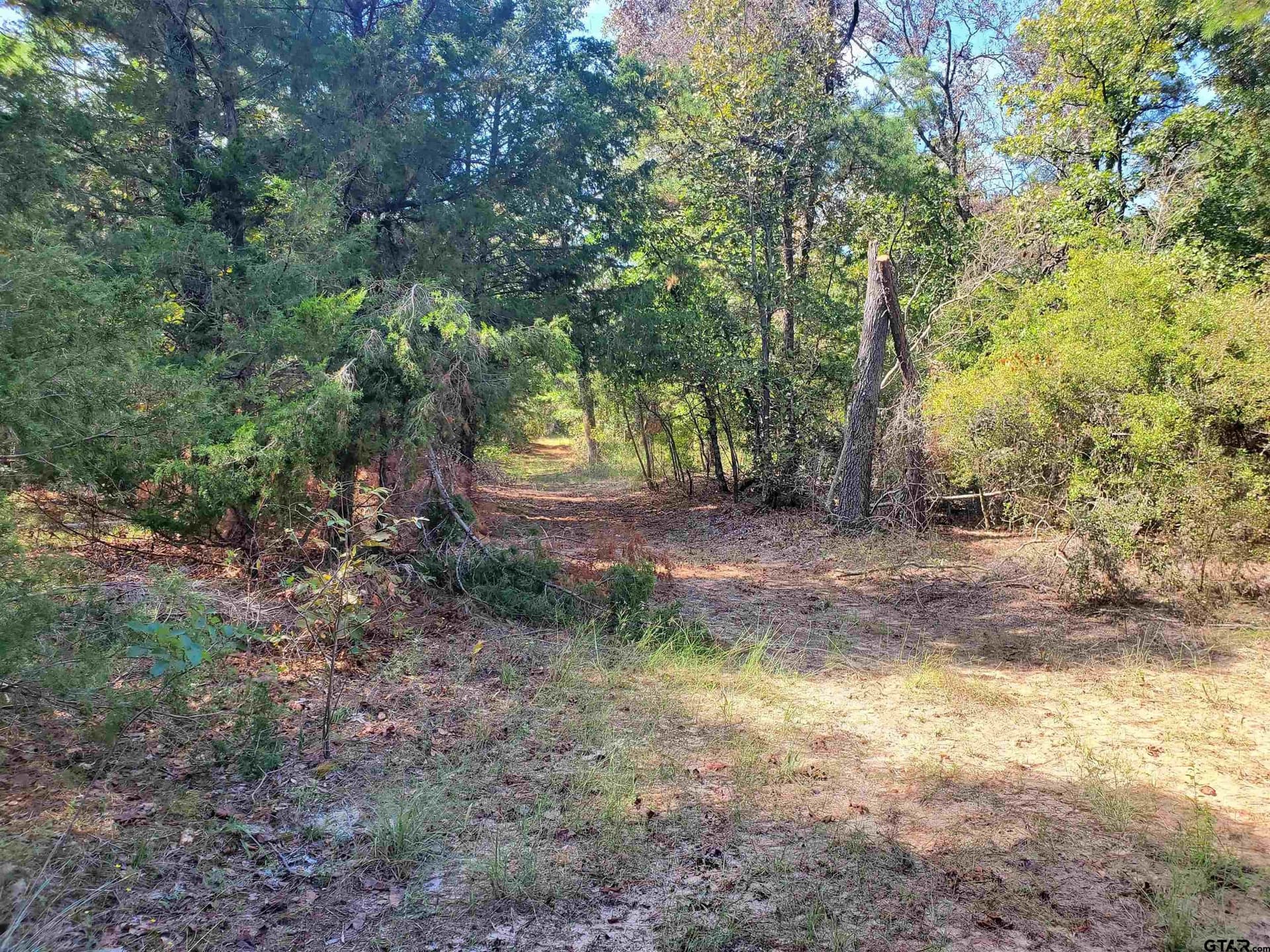 155.8 acres in Smith County - photo 22
