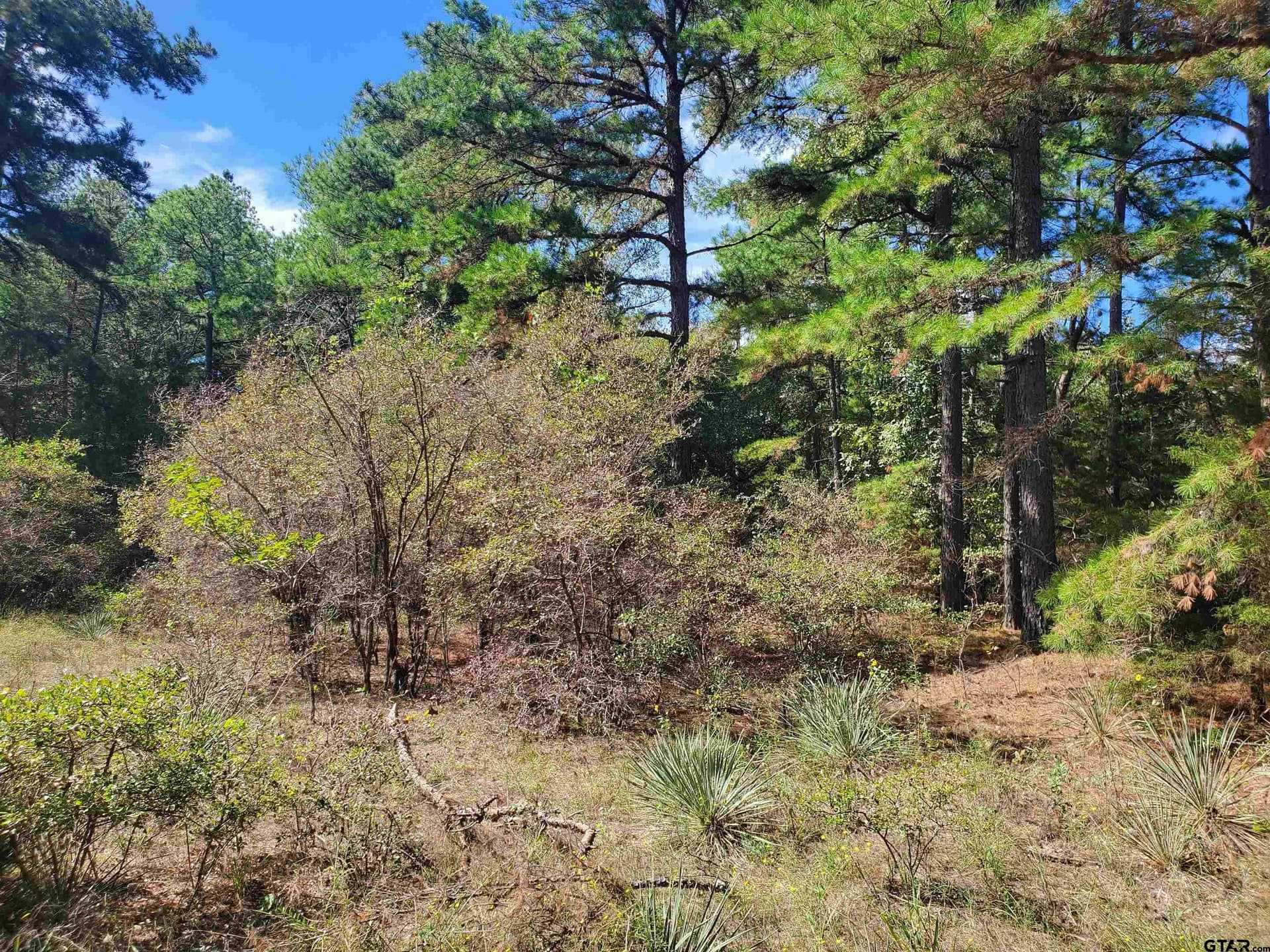155.8 acres in Smith County - photo 20
