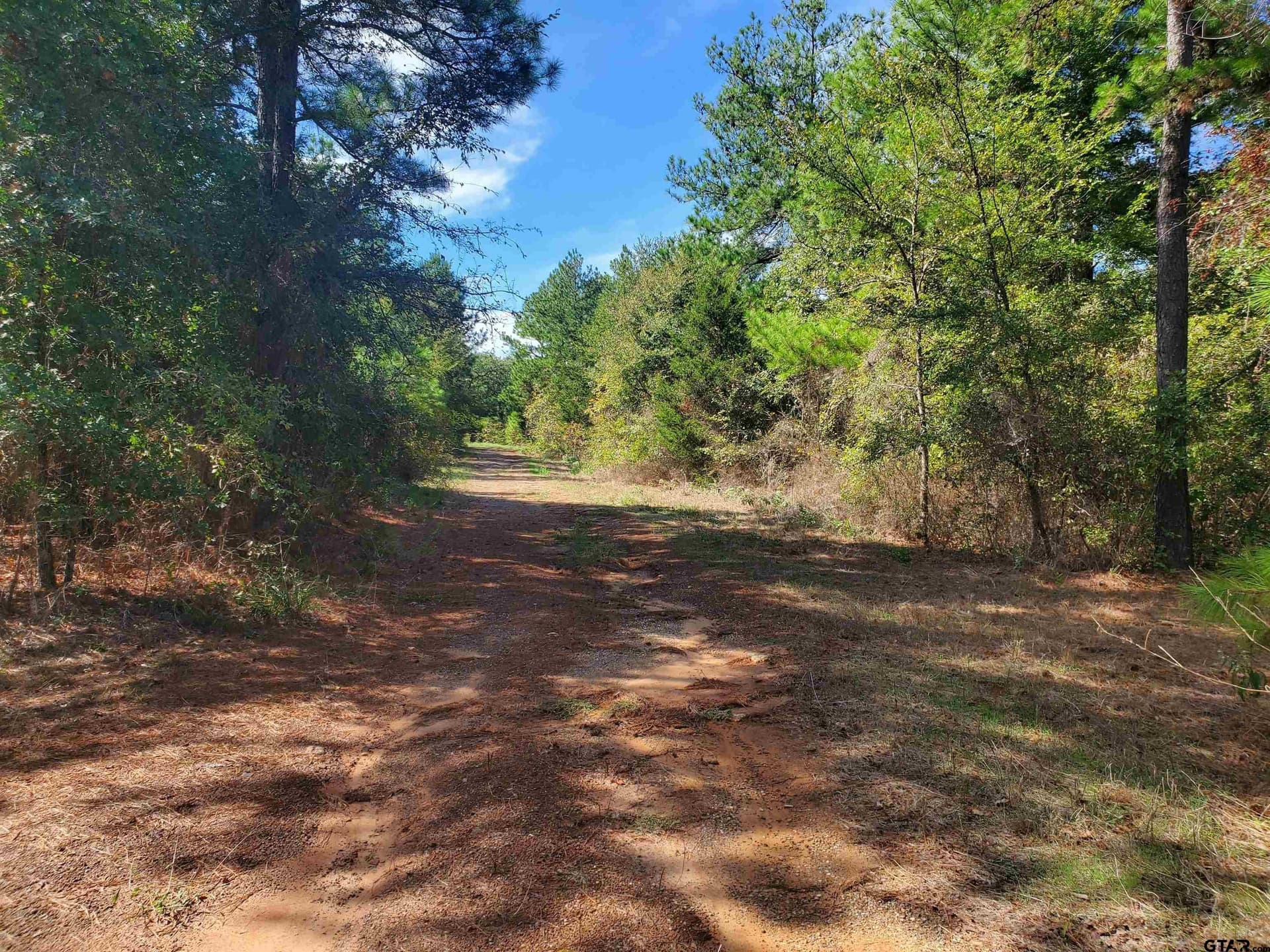 155.8 acres in Smith County - photo 29