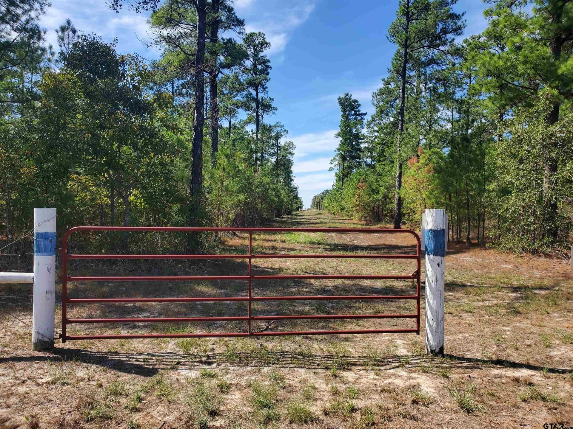 155.8 acres in Smith County - photo 37