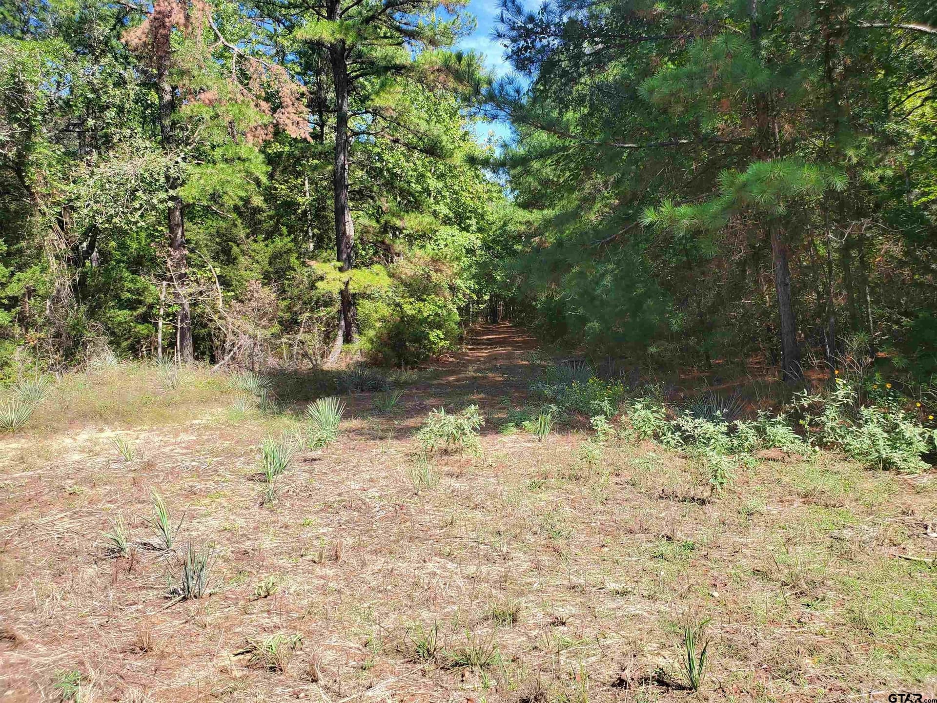 155.8 acres in Smith County - photo 18