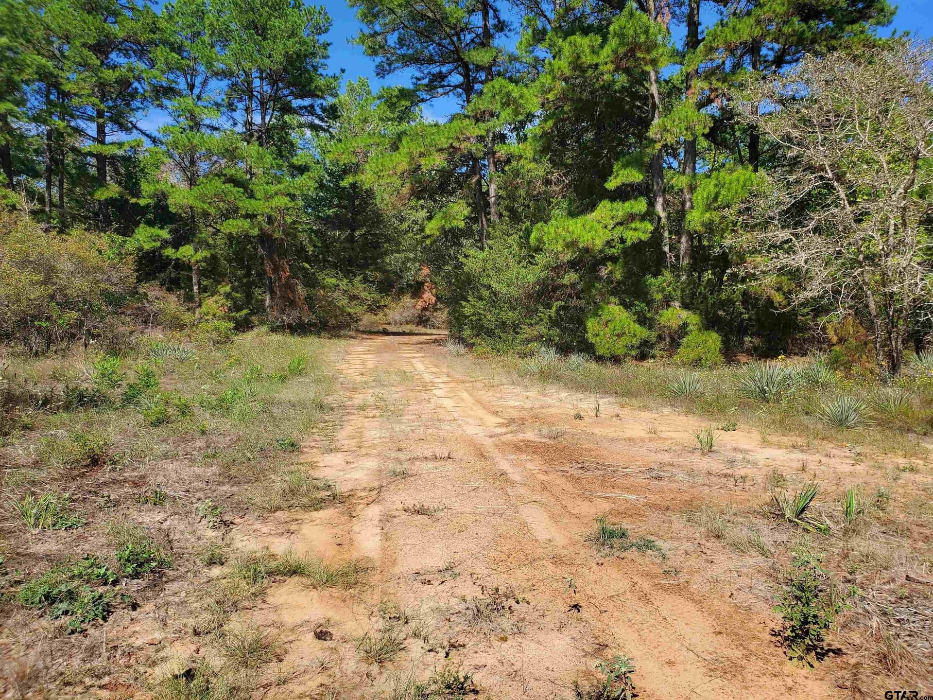 155.8 acres in Smith County - photo 19