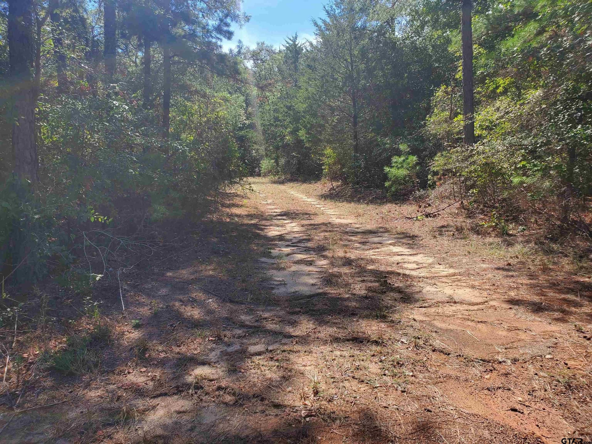 155.8 acres in Smith County - photo 30
