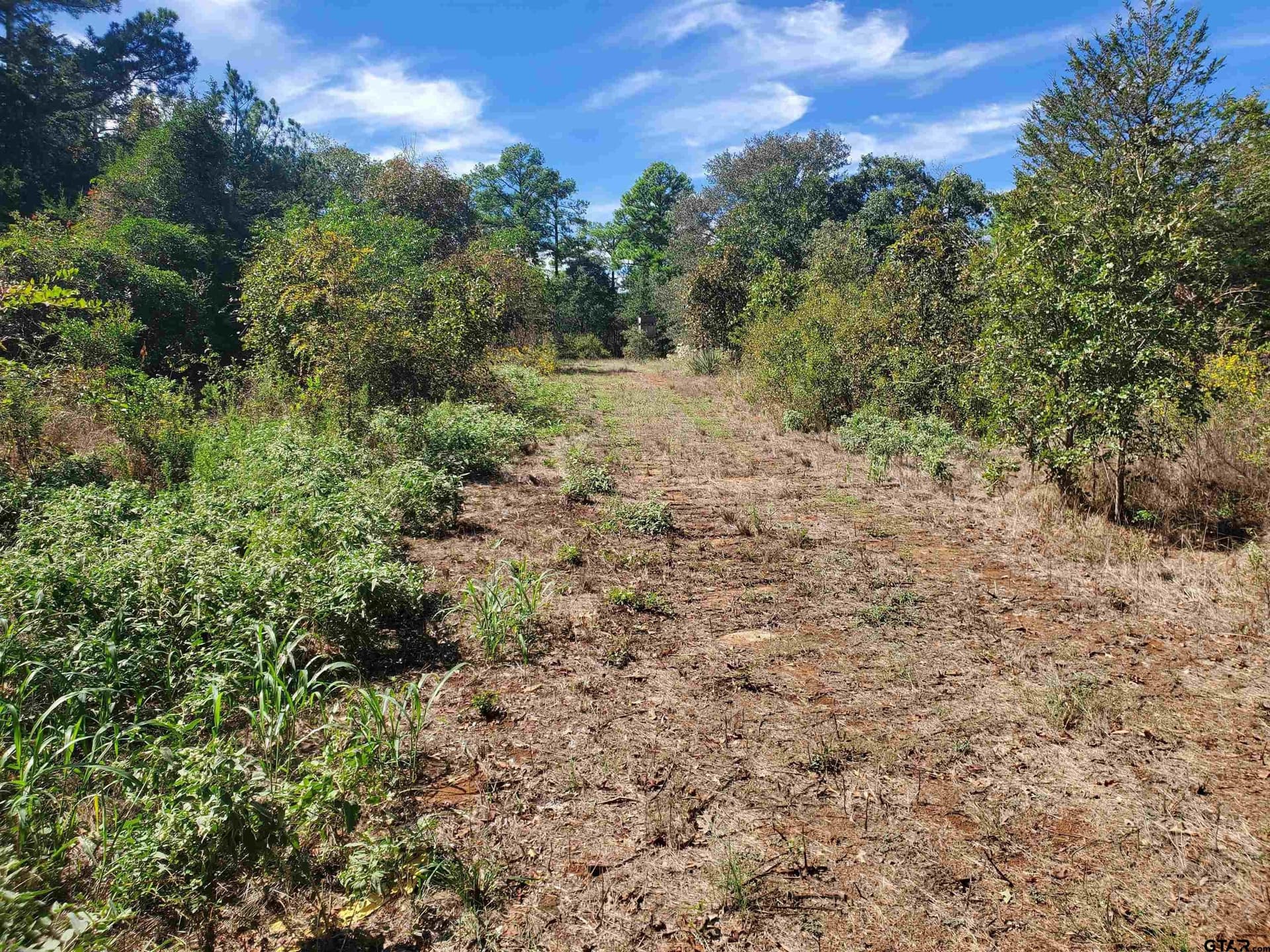 155.8 acres in Smith County - photo 12