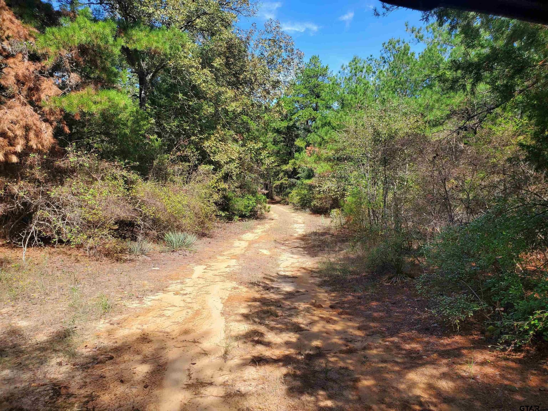 155.8 acres in Smith County - photo 21