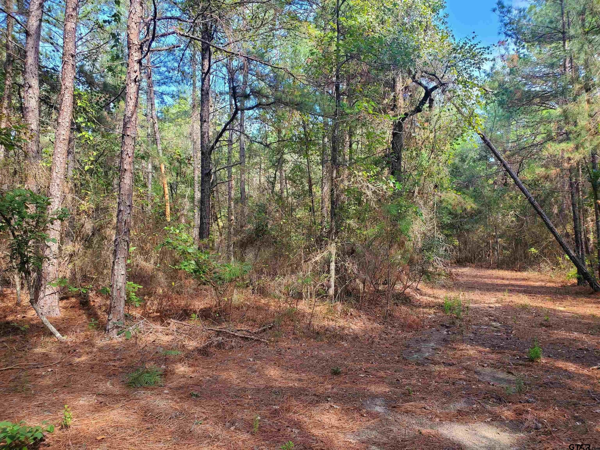 155.8 acres in Smith County - photo 23