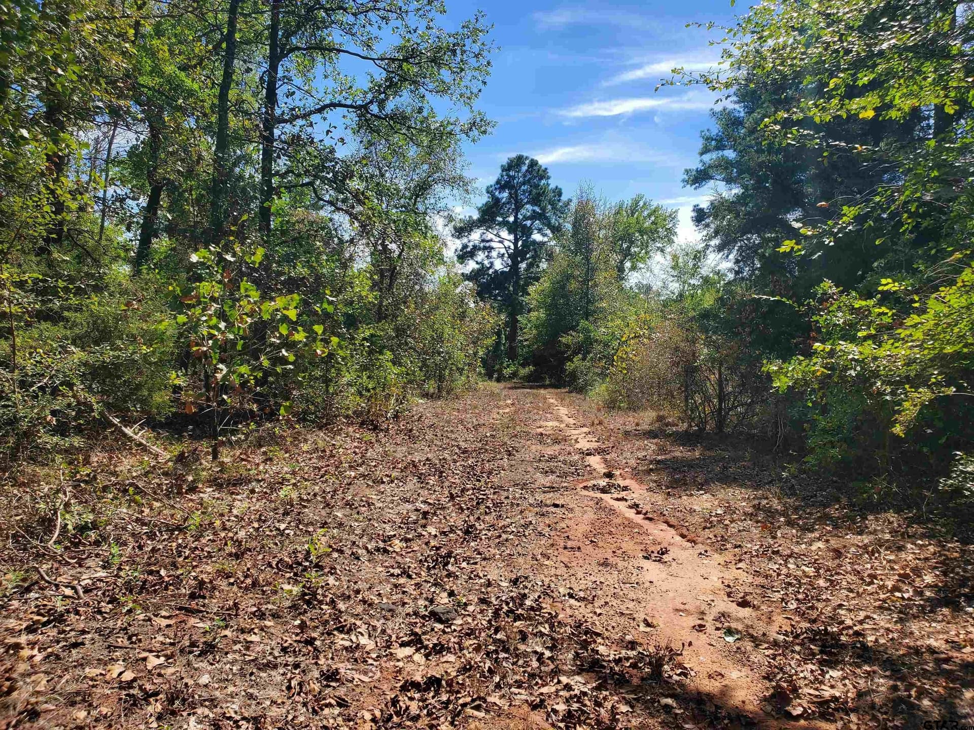 155.8 acres in Smith County gallery image 2