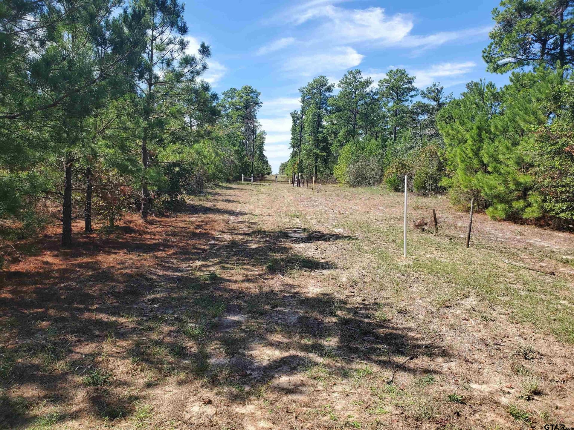 155.8 acres in Smith County - photo 13