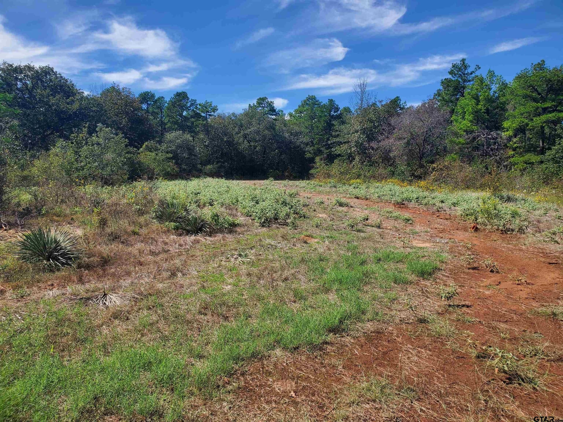 155.8 acres in Smith County - photo 17