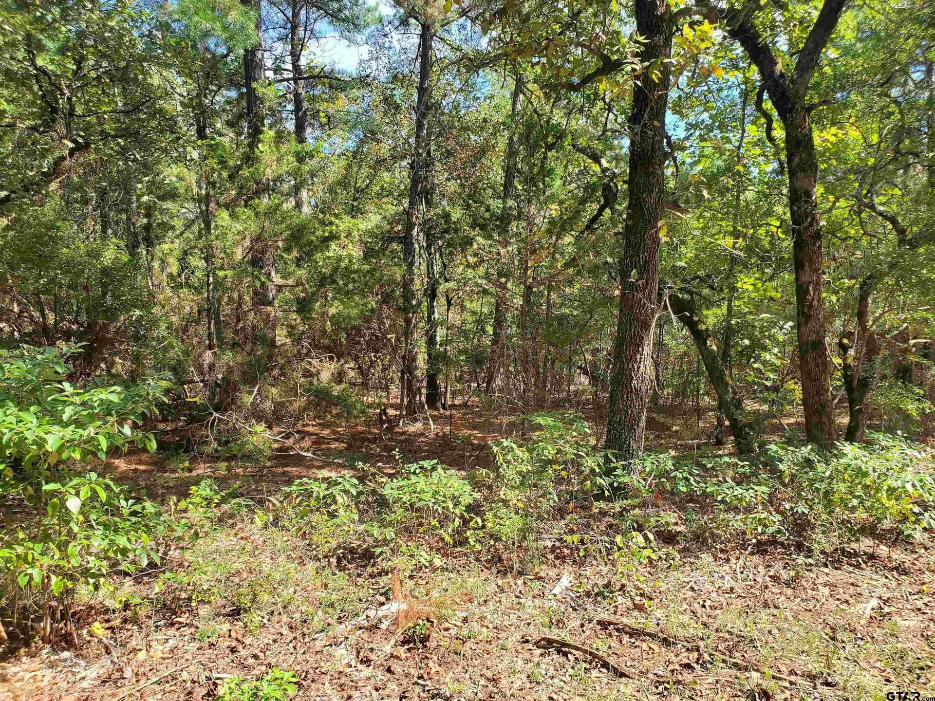 155.8 acres in Smith County - photo 33