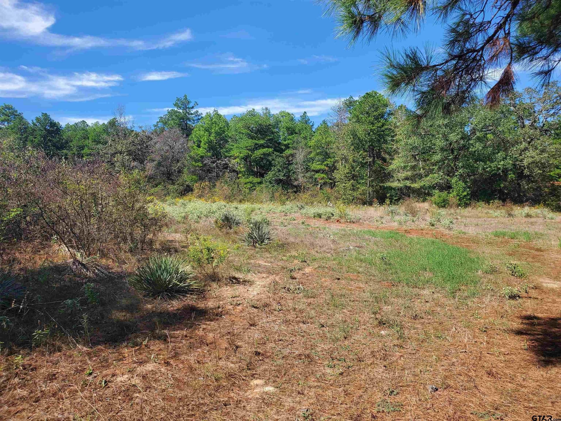 155.8 acres in Smith County - photo 16