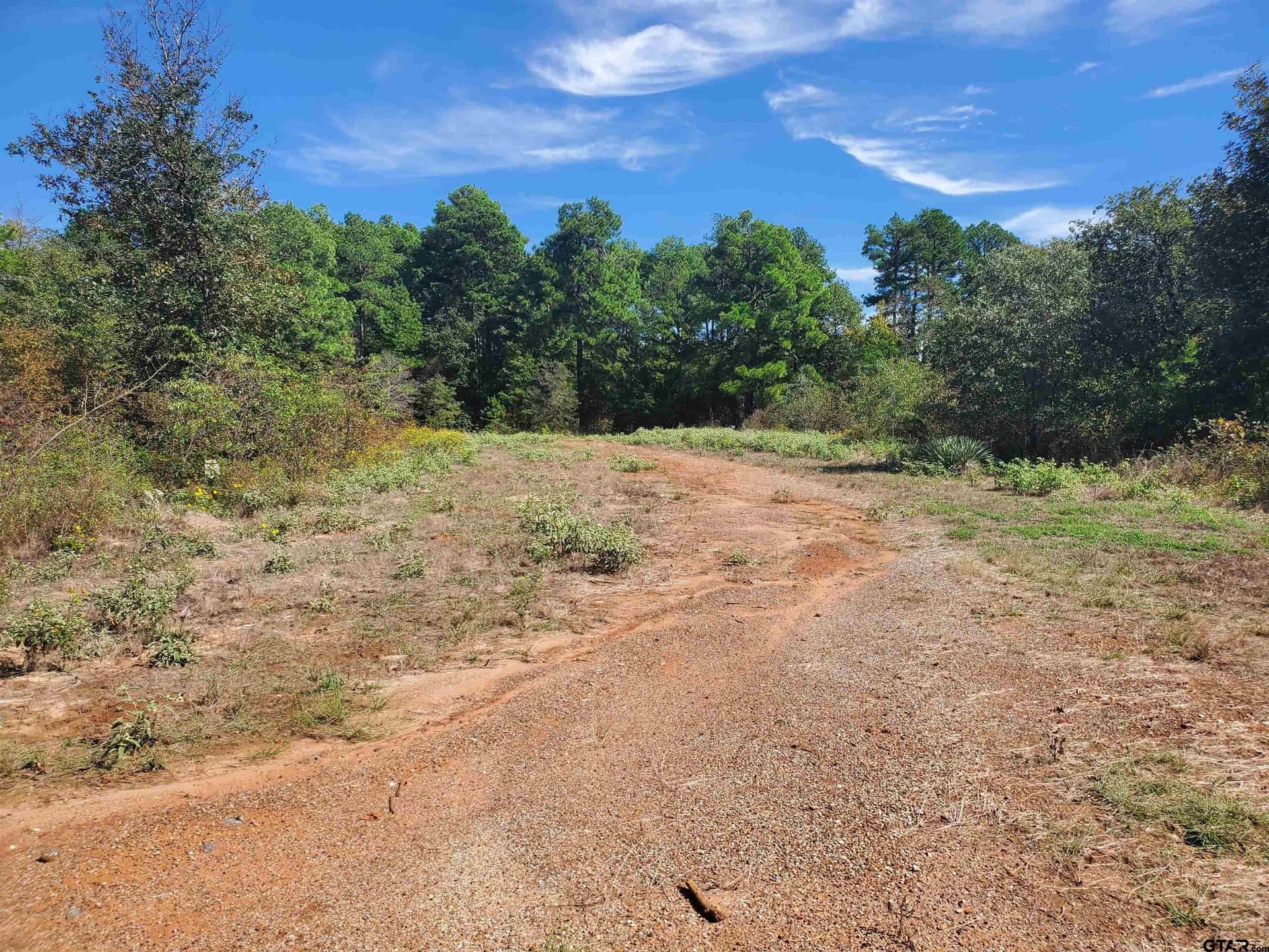 155.8 acres in Smith County - photo 35