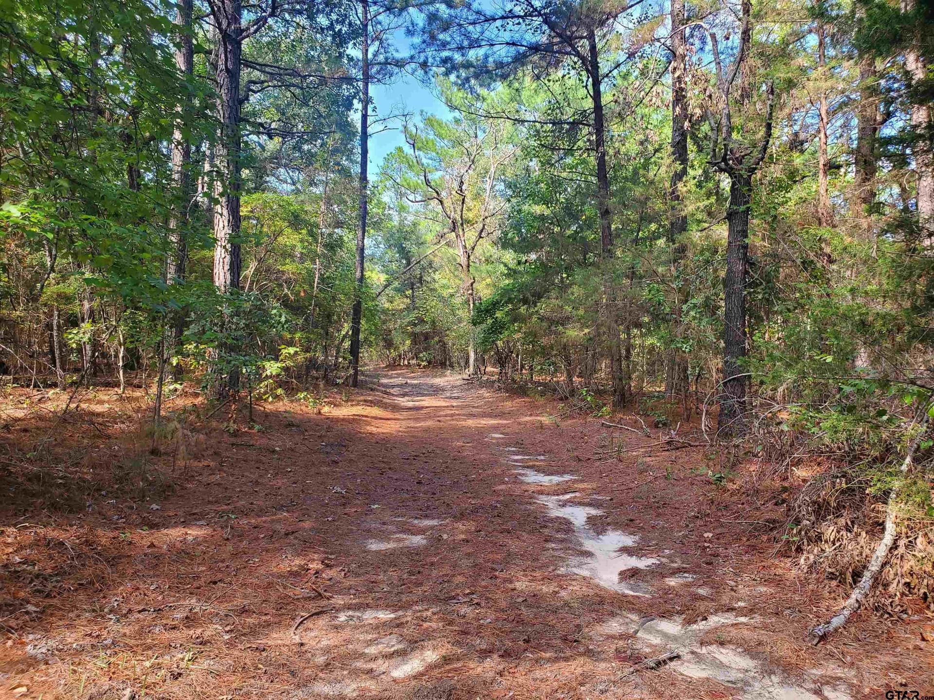155.8 acres in Smith County - photo 24