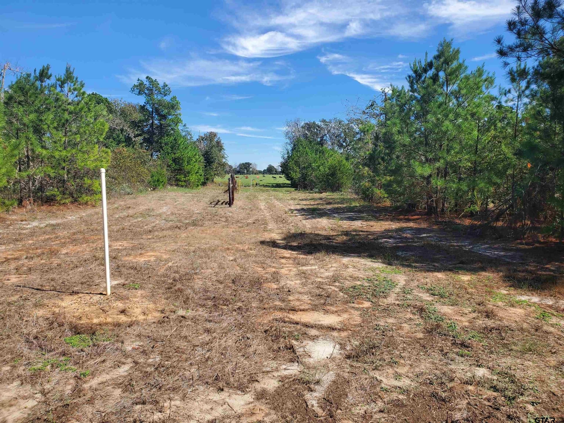 155.8 acres in Smith County - photo 36