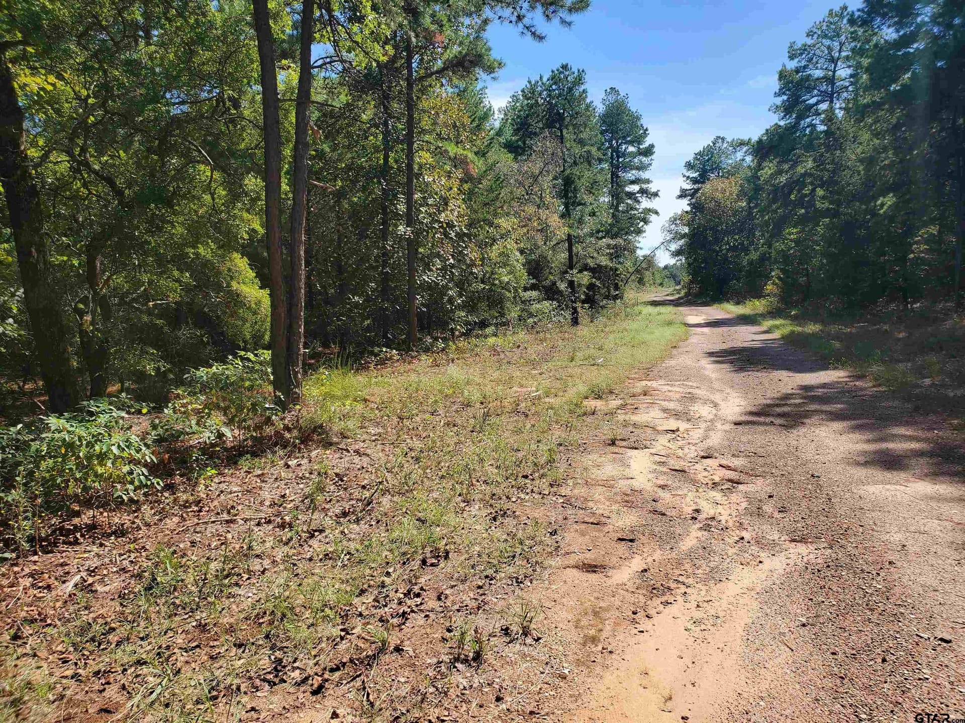 155.8 acres in Smith County - photo 34
