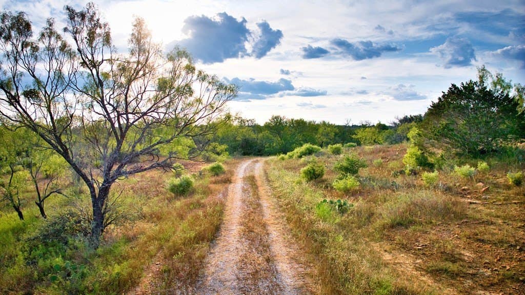 379.67 acres in San Saba County - photo 6