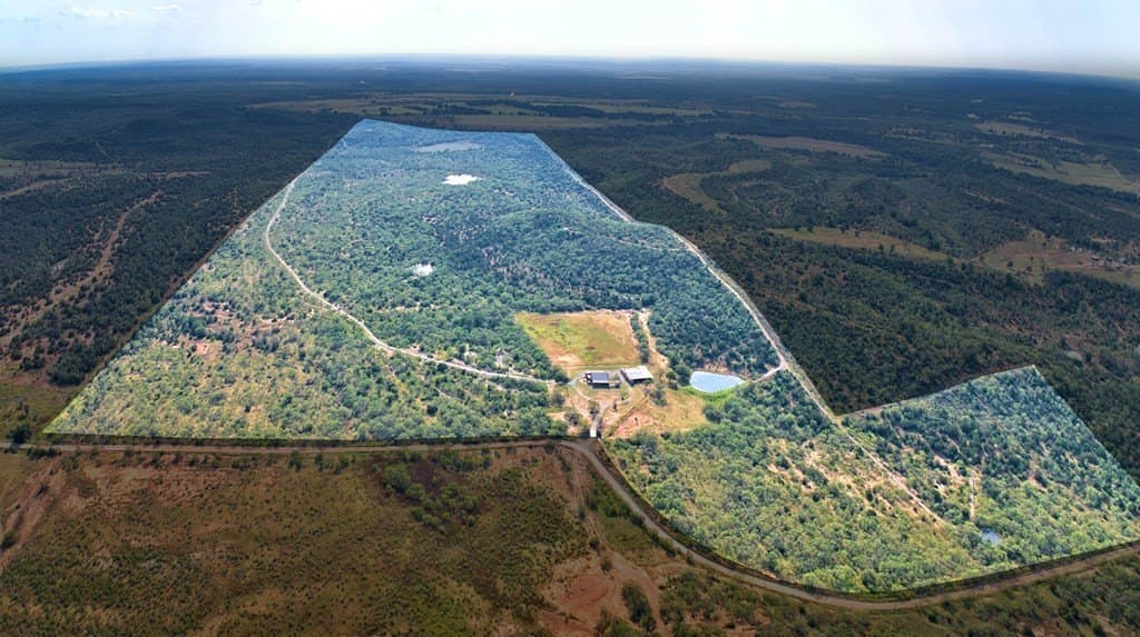 379.67 acres in San Saba County gallery image 4