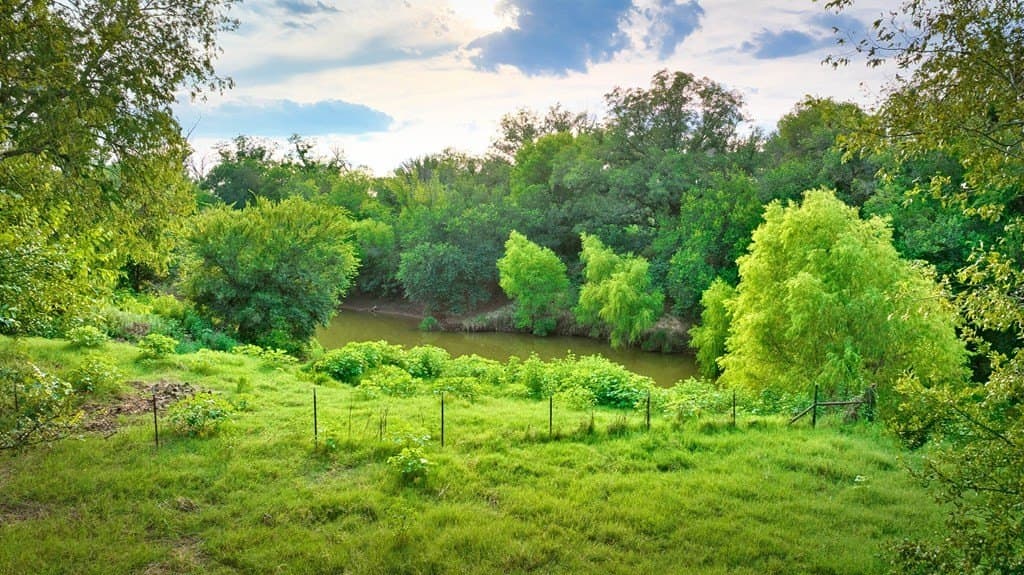 379.67 acres in San Saba County - photo 31