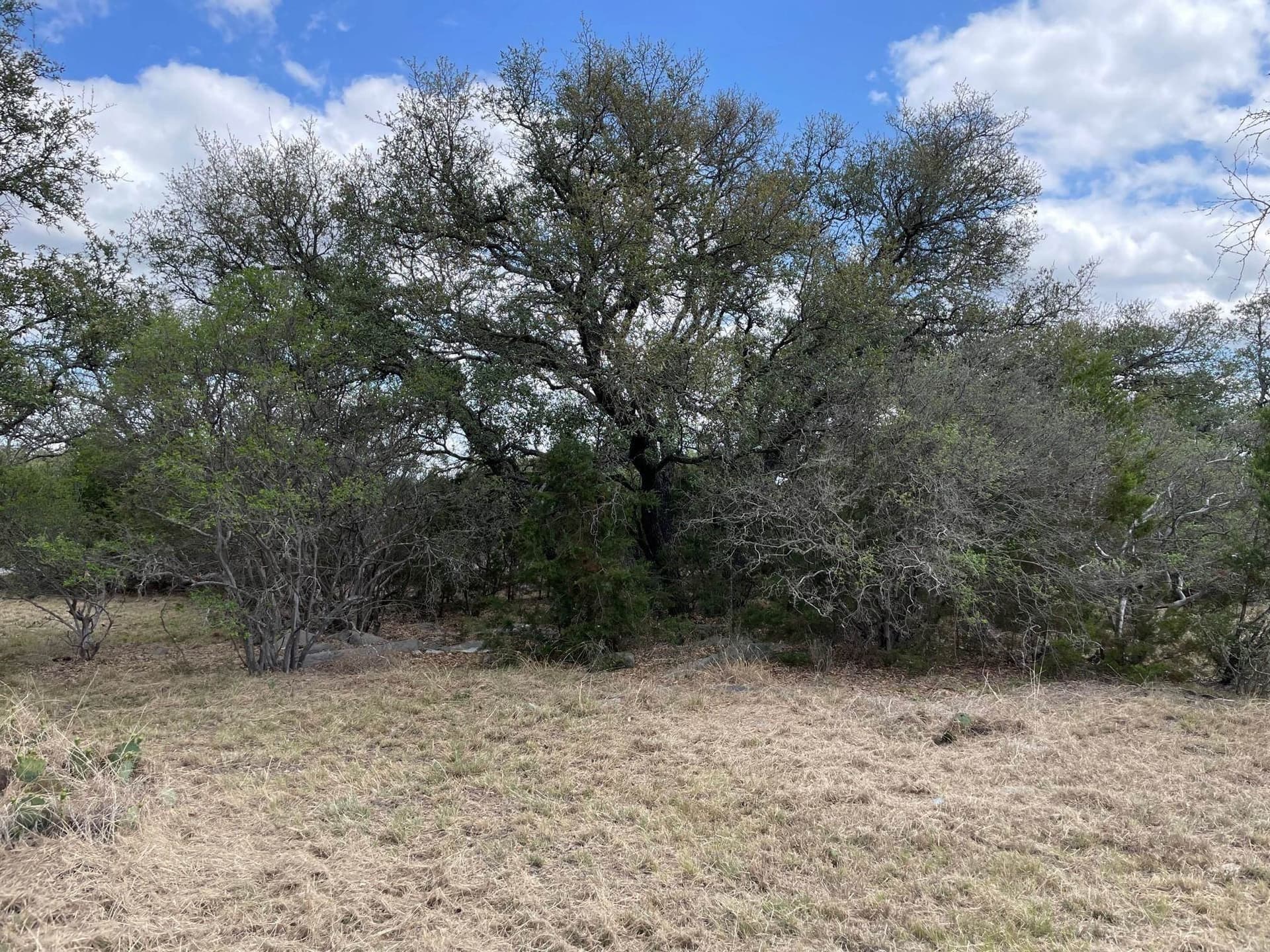 3.42 acres in Burnet County - photo 14