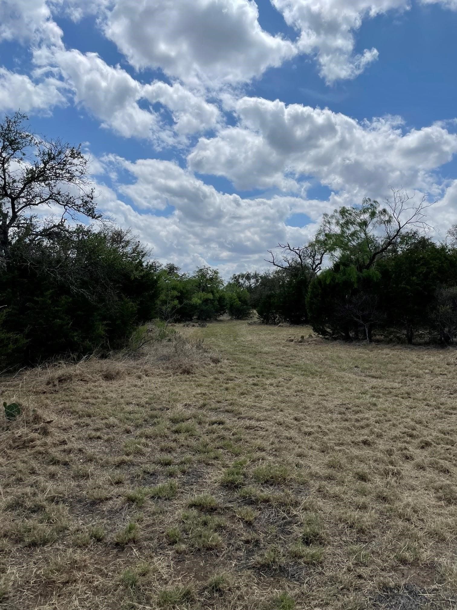 3.42 acres in Burnet County - photo 17